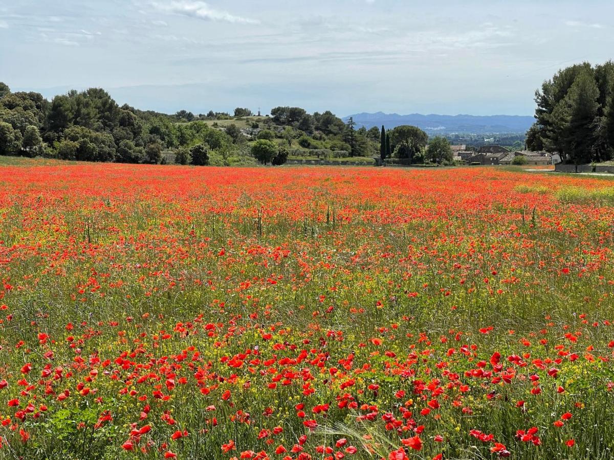 Fleurs De Provence Lägenhet LʼIsle-sur-la-Sorgue Exteriör bild
